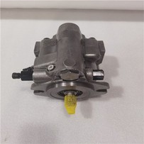 Parker DENISON PAVC PAVC389 Seria PAVC389R42C16 PAVC389BR4216 Zmienna pompa tłokowa Pompa hydrauliczna